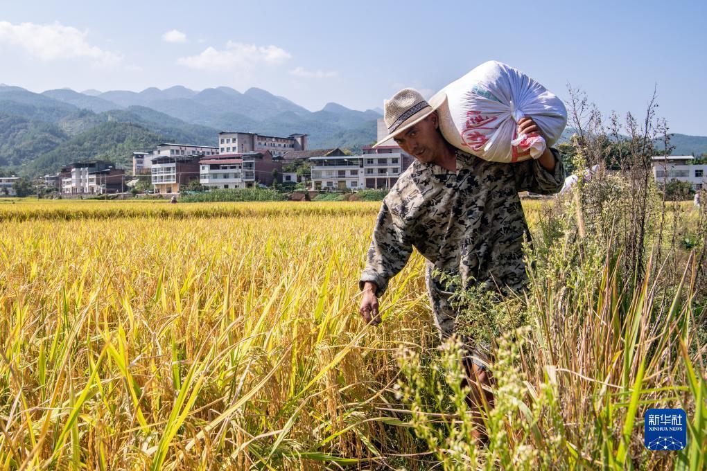 大澳电玩城 下载